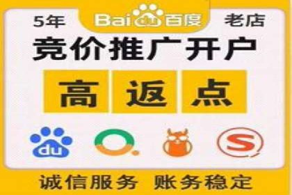 竞价推广实战攻略：成功案例分享